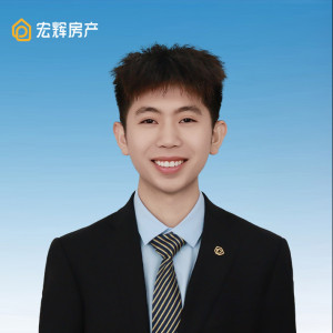 王鹏强